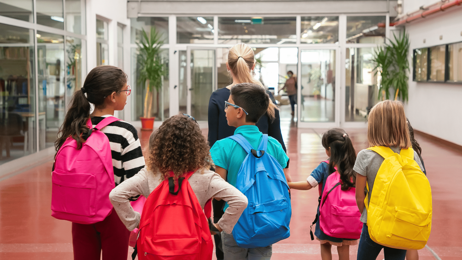 Schools Safety