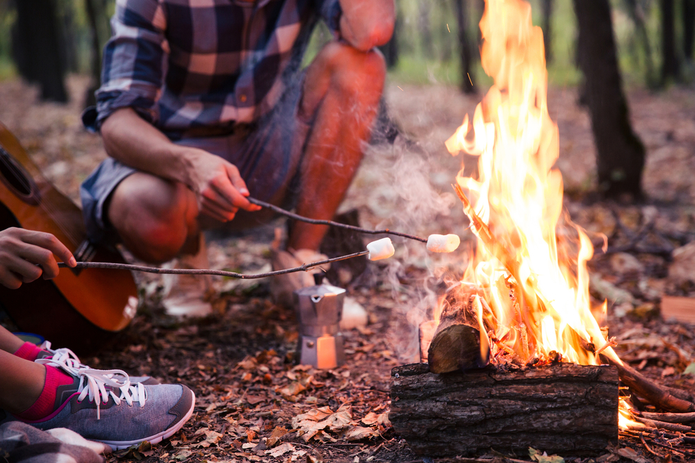 Closeup portrait of a couple fried sausages on bonfire in the forest Closeup portrait of a couple fried sausages on bonfire in the forest